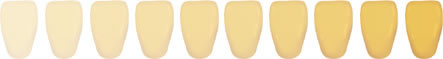 歯の色比較図