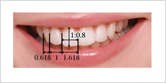 歯のサイズと歯のプロポーション